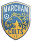 Marcham Colts FC